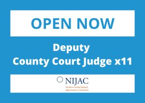 Deputy County Court Judge x11
